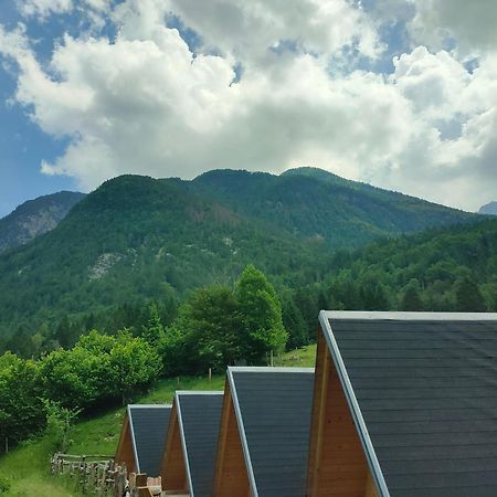 Organic Tourist Farm Pri Plajerju Lägenhet Trenta Exteriör bild