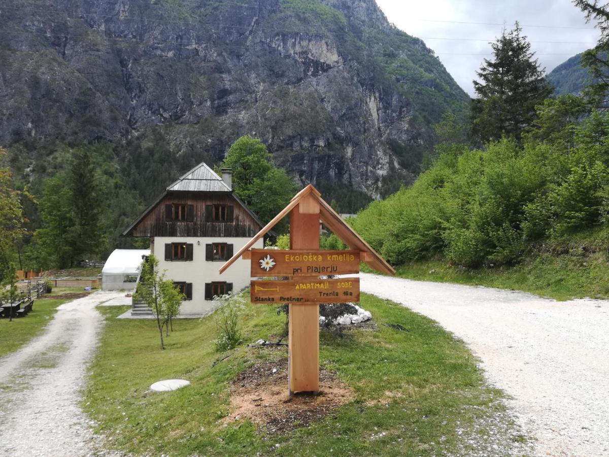 Organic Tourist Farm Pri Plajerju Lägenhet Trenta Exteriör bild