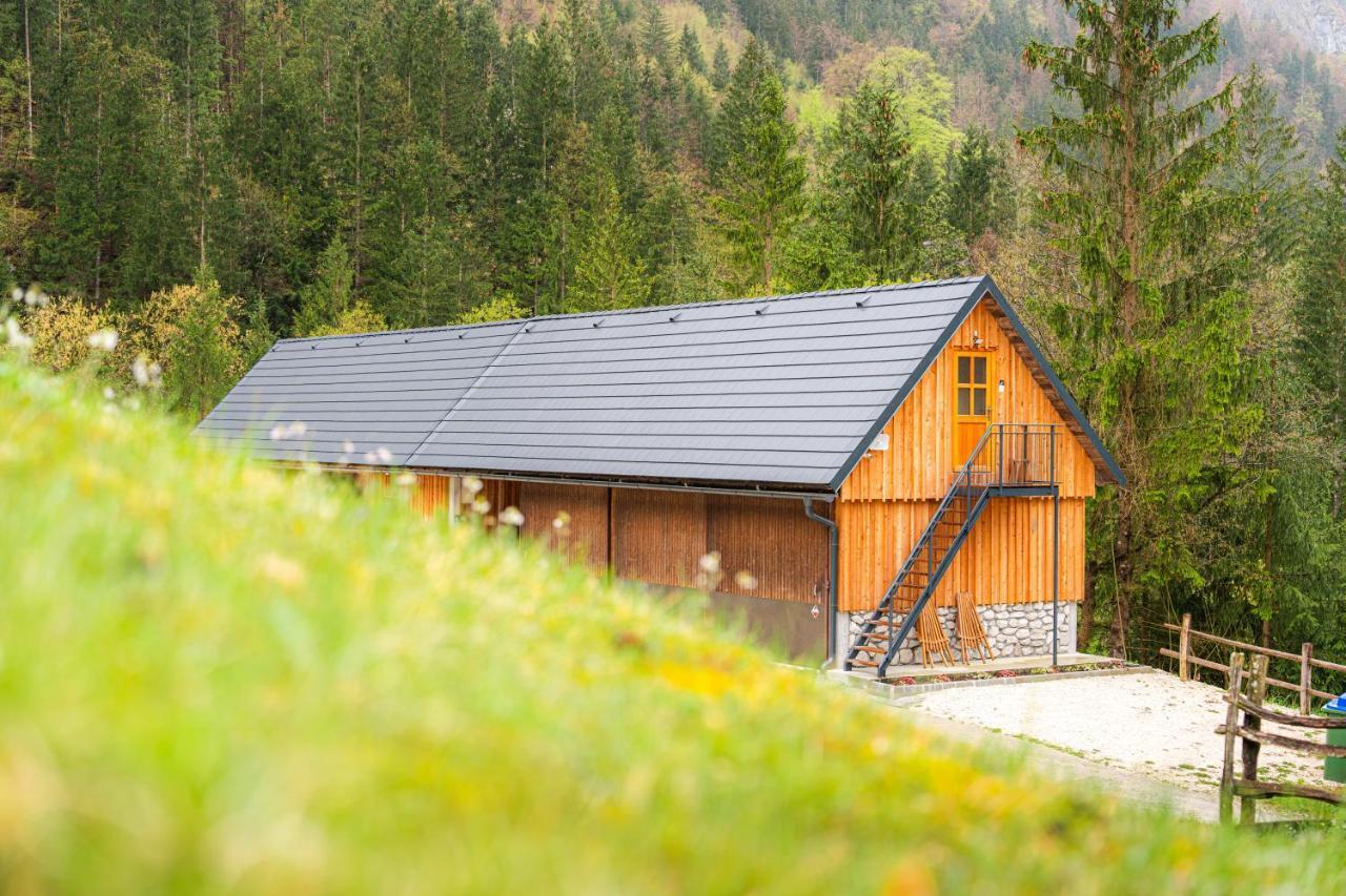 Organic Tourist Farm Pri Plajerju Lägenhet Trenta Exteriör bild