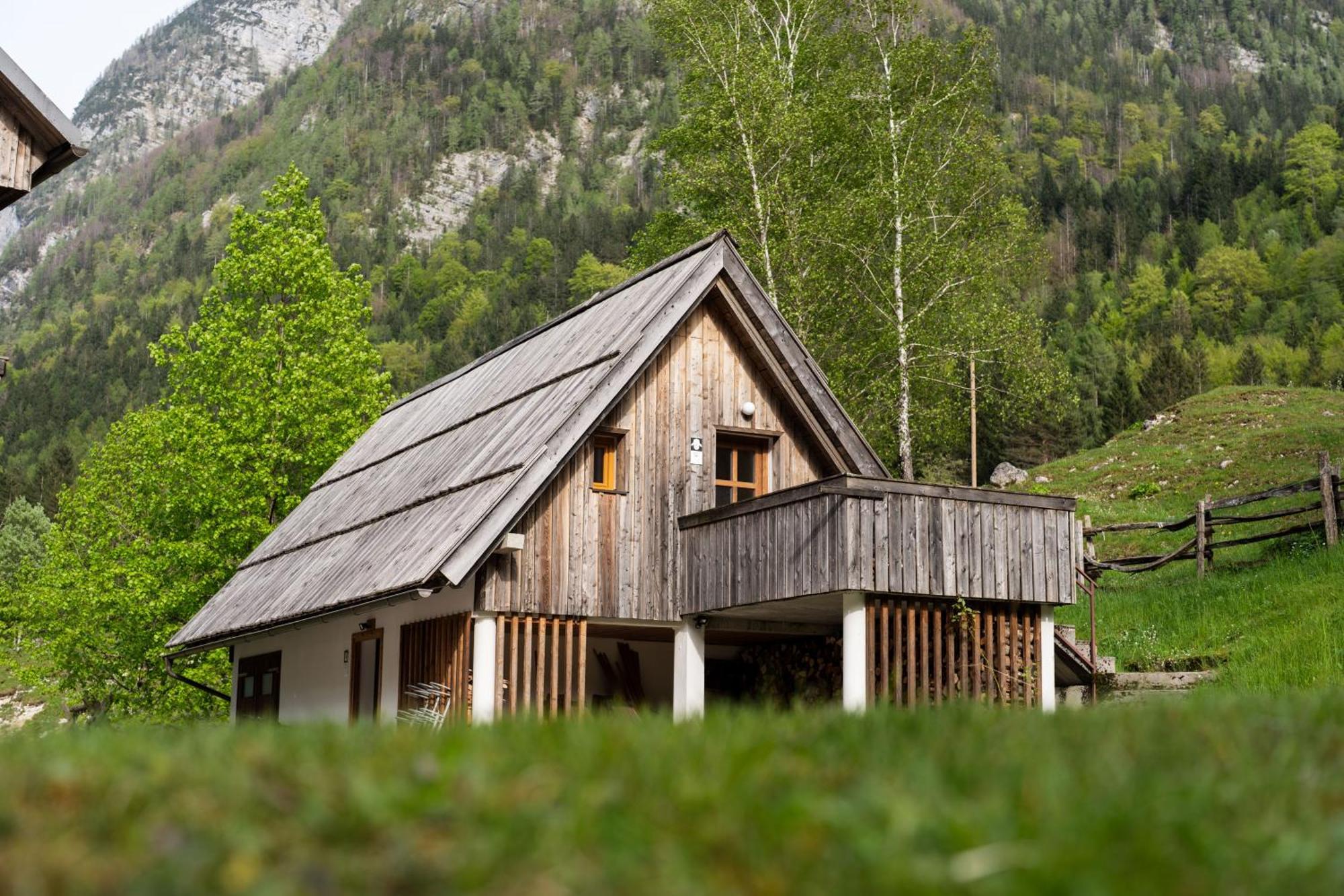 Organic Tourist Farm Pri Plajerju Lägenhet Trenta Exteriör bild